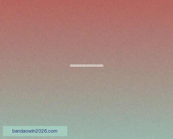 半岛体育官网入口最新功能指南全面解析与使用技巧